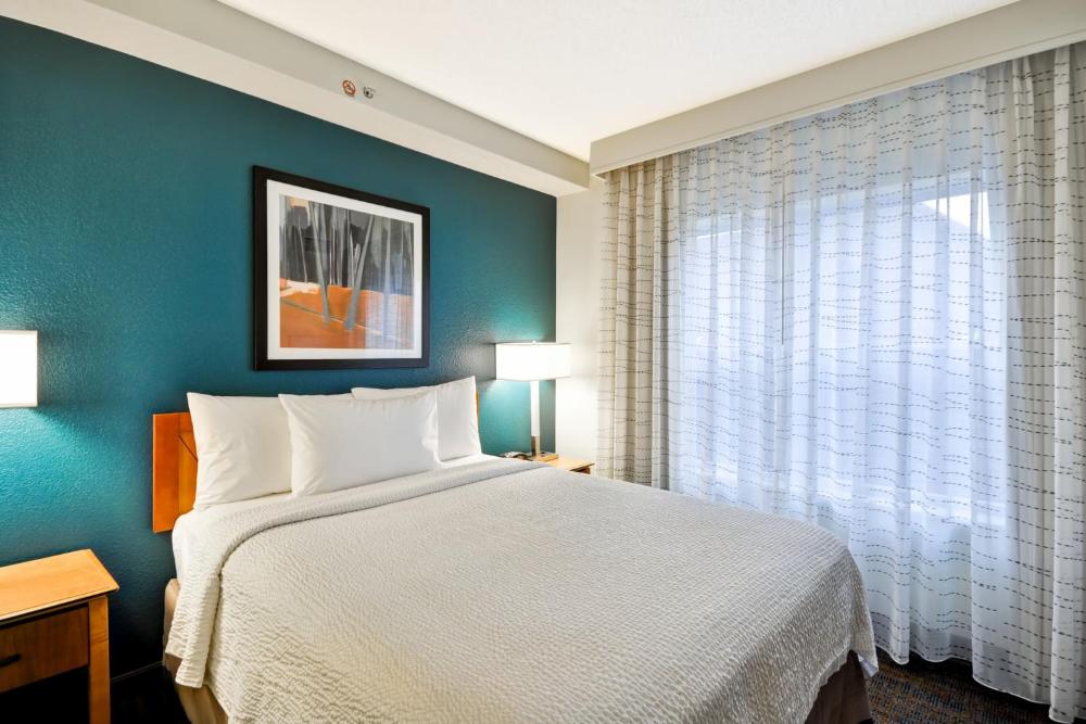 Studio with 1 King bed and Sofa bed interior